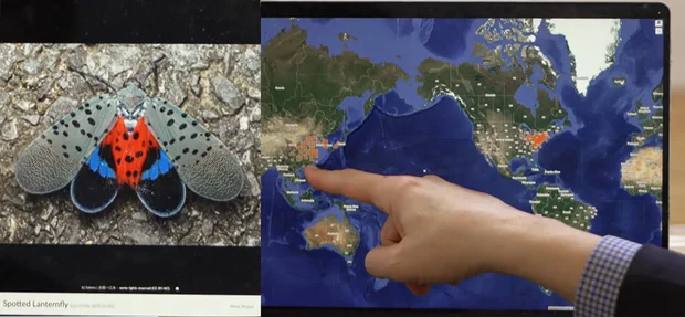 Data from iNaturalist users helps track the migration of invasive species.