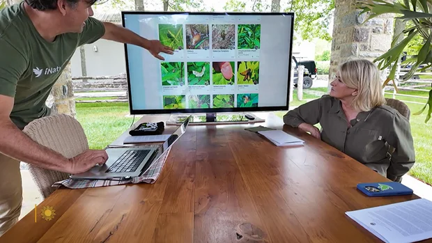 Reviewing findings.