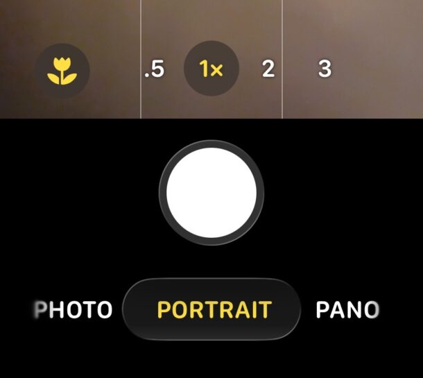 Accessing Portrait Mode on iOS 26